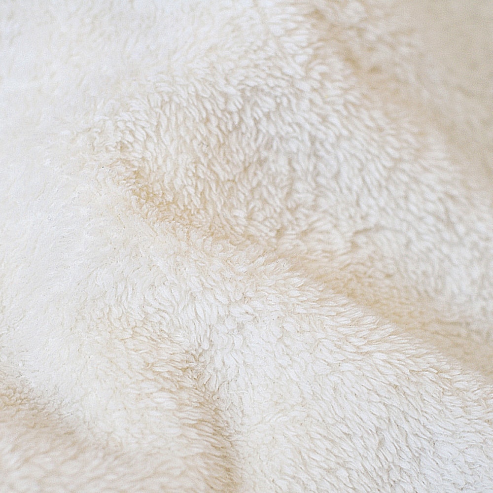 Halloween Pets Gathering - Blanket